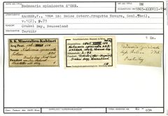 Karteikarte zum Belegmaterial von Nodosaria spinicosta d'Orbigny, 1846